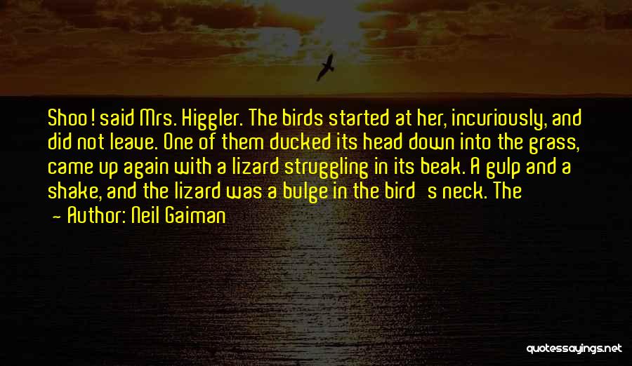 Bird Beak Quotes By Neil Gaiman