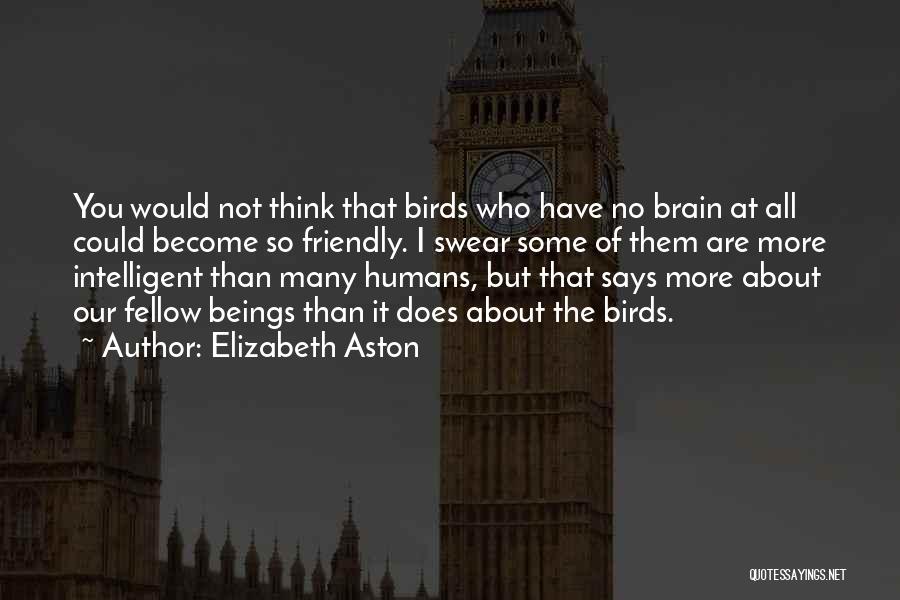 Bird Brain Quotes By Elizabeth Aston