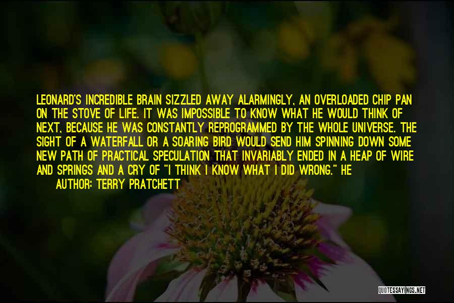 Bird Brain Quotes By Terry Pratchett