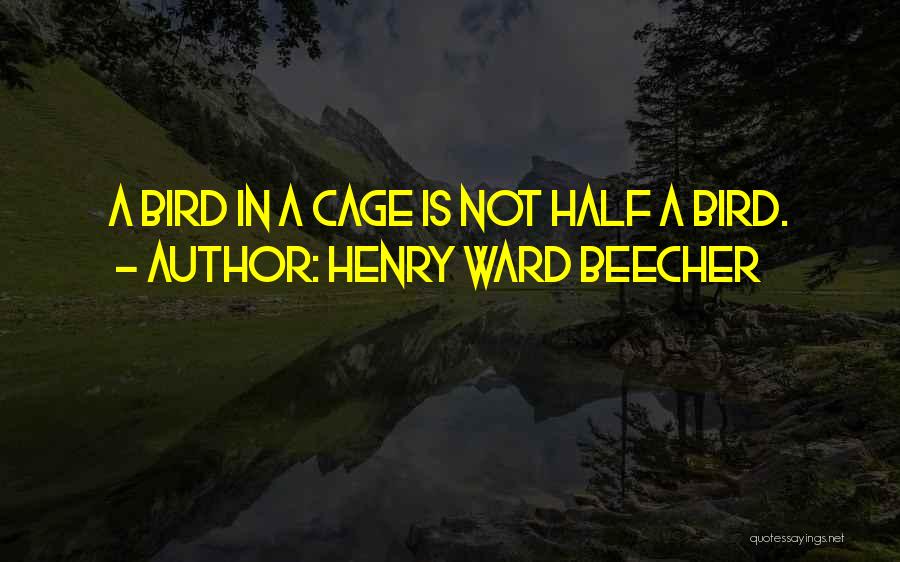 Bird Cages Quotes By Henry Ward Beecher