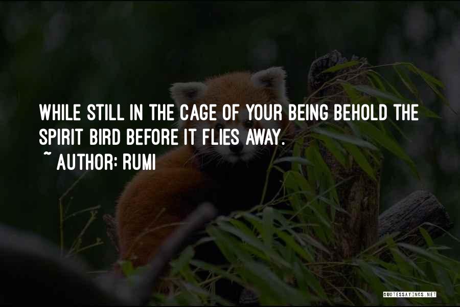 Bird Cages Quotes By Rumi
