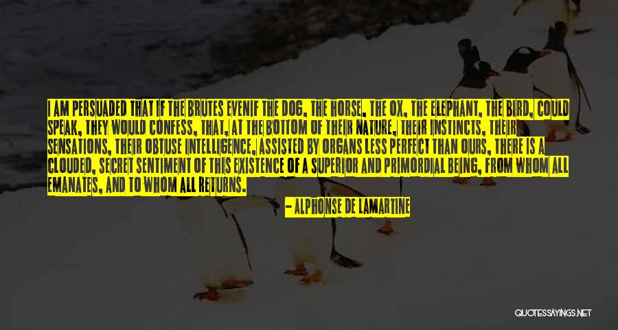 Bird Dog Quotes By Alphonse De Lamartine