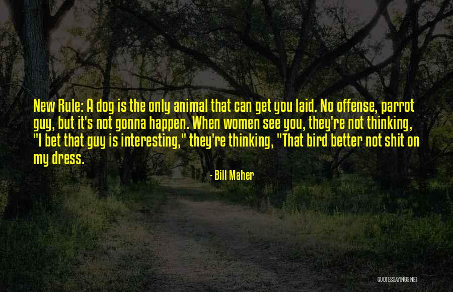 Bird Dog Quotes By Bill Maher