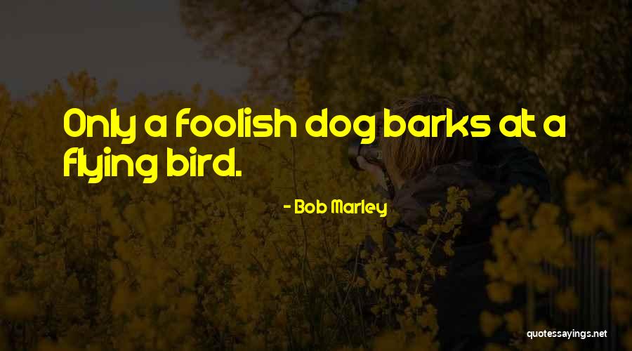 Bird Dog Quotes By Bob Marley