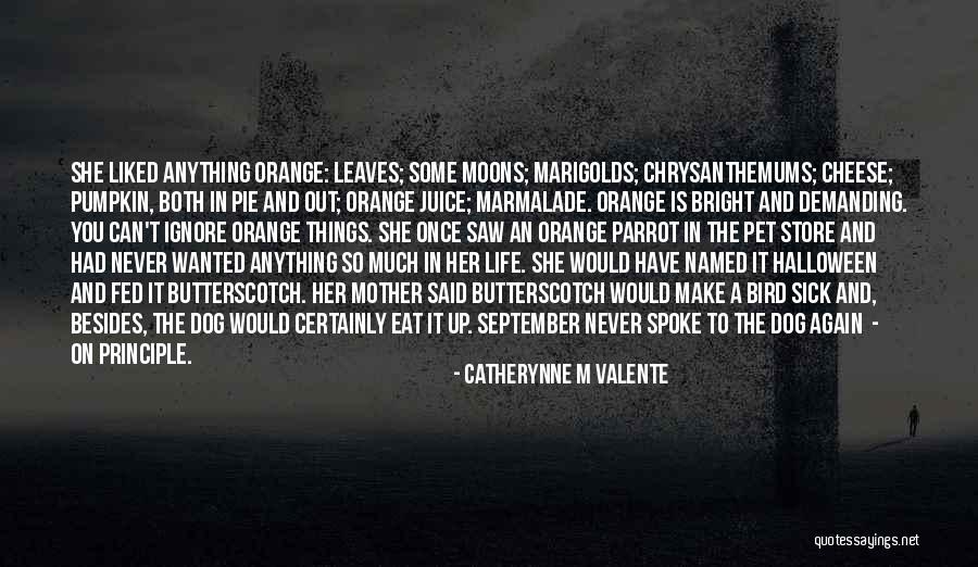 Bird Dog Quotes By Catherynne M Valente