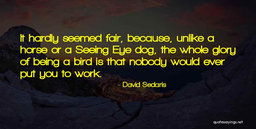 Bird Dog Quotes By David Sedaris