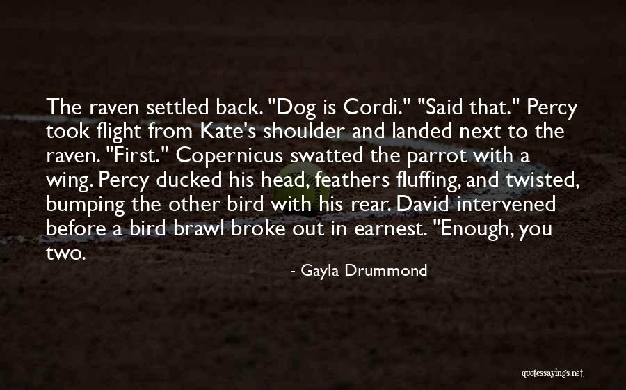 Bird Dog Quotes By Gayla Drummond