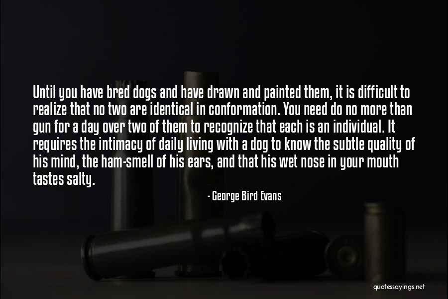 Bird Dog Quotes By George Bird Evans