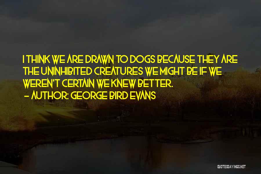 Bird Dog Quotes By George Bird Evans