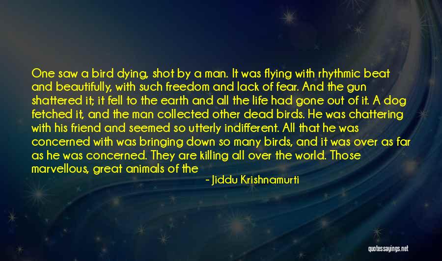 Bird Dog Quotes By Jiddu Krishnamurti