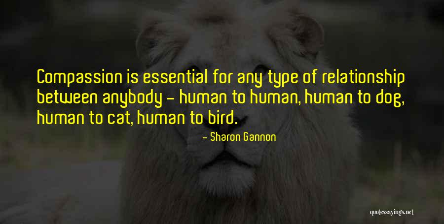 Bird Dog Quotes By Sharon Gannon