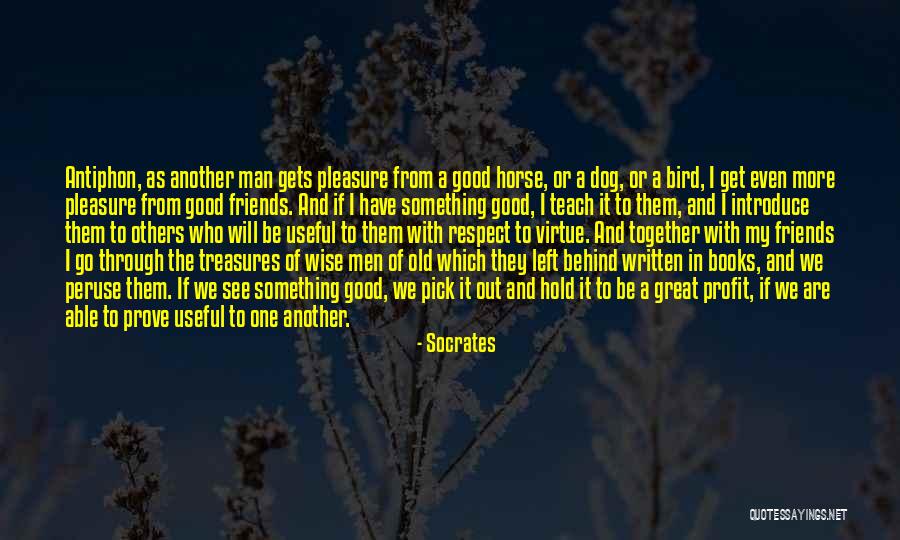 Bird Dog Quotes By Socrates