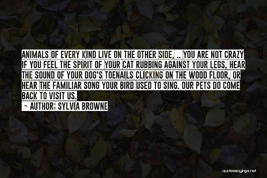 Bird Dog Quotes By Sylvia Browne