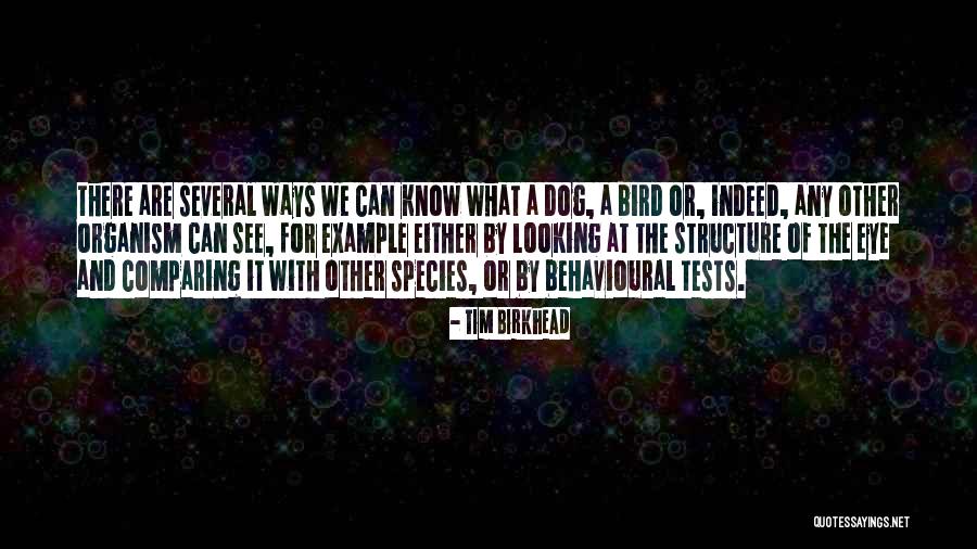 Bird Dog Quotes By Tim Birkhead