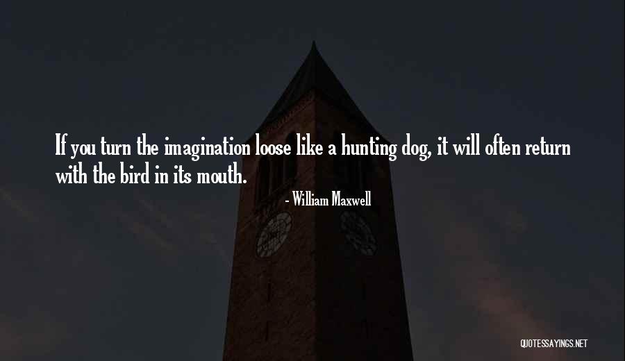 Bird Dog Quotes By William Maxwell