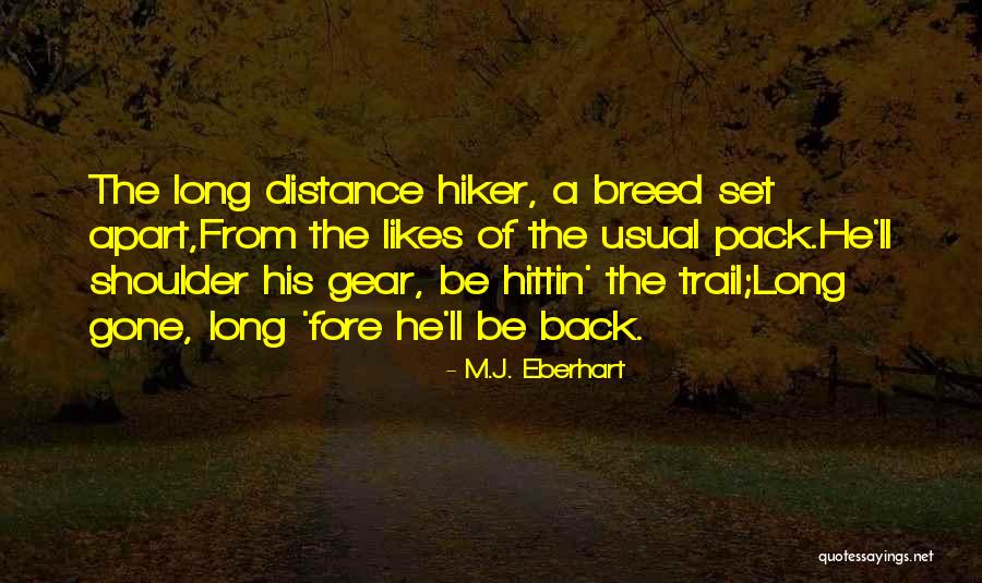 Bird Dog Shorts Quotes By M.J. Eberhart Bird Dog Shorts Quotes By M.J. Eberhart