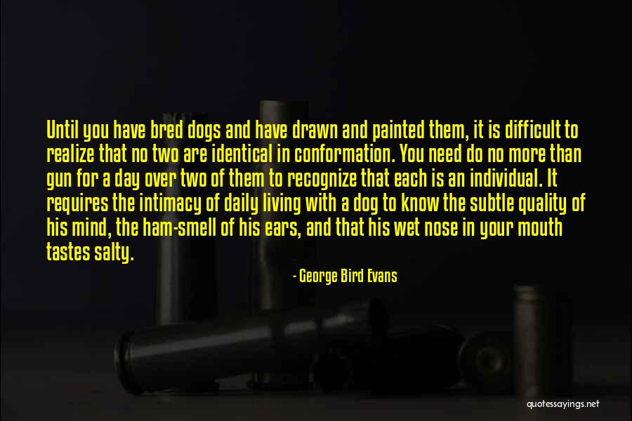 Bird Dogs Quotes By George Bird Evans