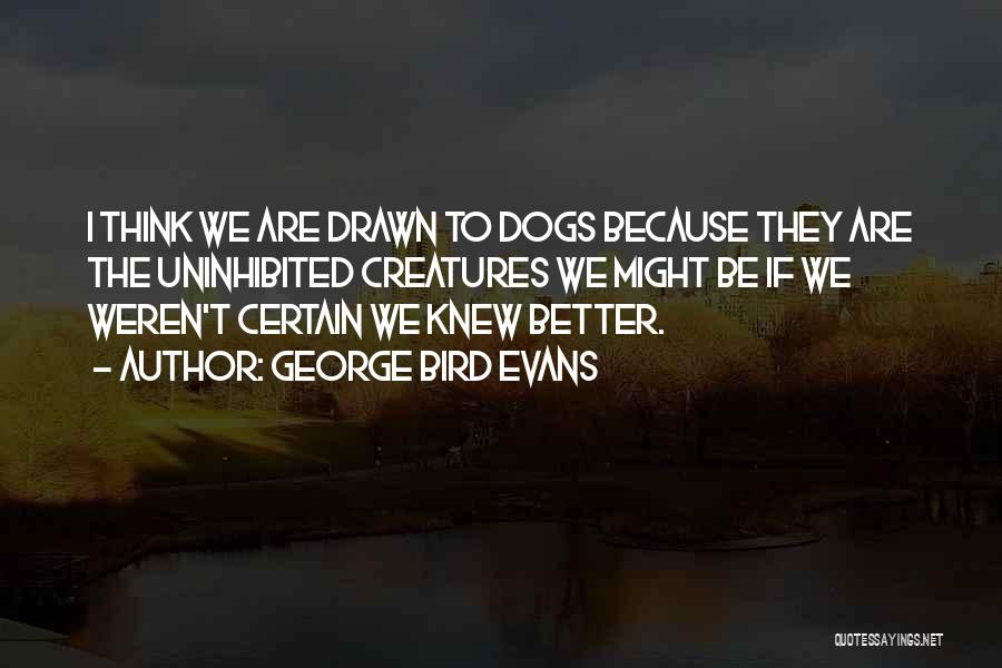 Bird Dogs Quotes By George Bird Evans