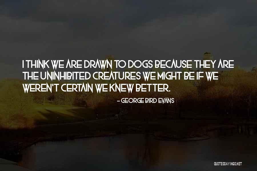 Bird Dogs Quotes By George Bird Evans