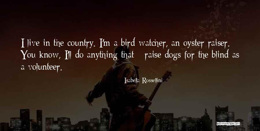 Bird Dogs Quotes By Isabella Rossellini