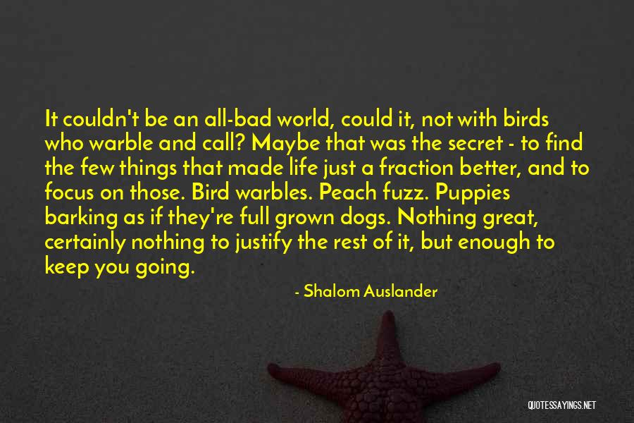 Bird Dogs Quotes By Shalom Auslander