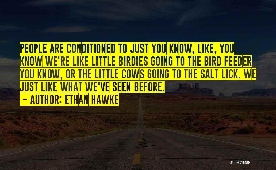 Bird Feeder Quotes By Ethan Hawke