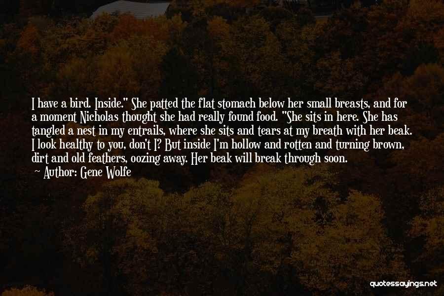 Bird Food Quotes By Gene Wolfe