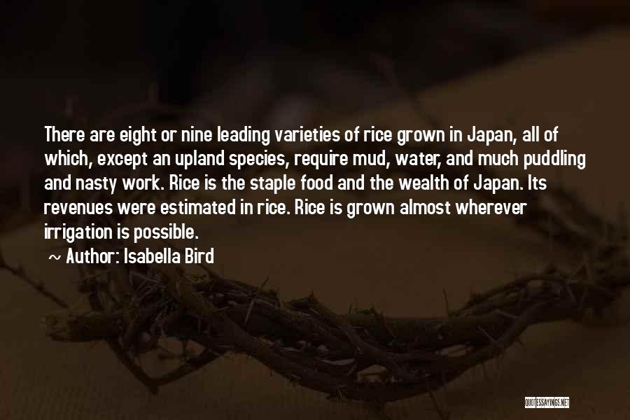 Bird Food Quotes By Isabella Bird