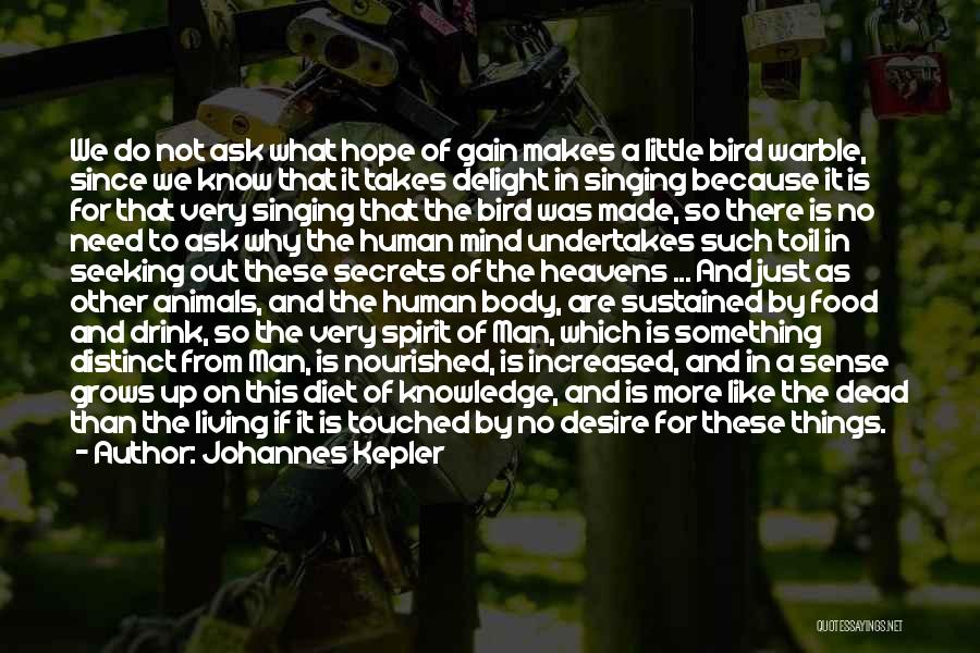 Bird Food Quotes By Johannes Kepler