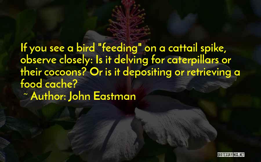 Bird Food Quotes By John Eastman