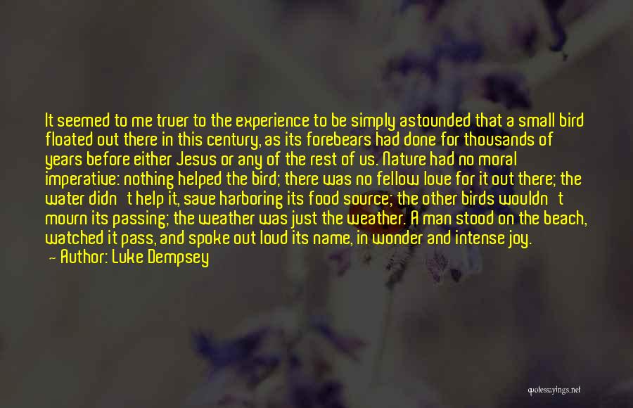 Bird Food Quotes By Luke Dempsey