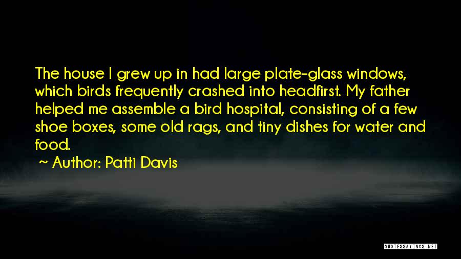 Bird Food Quotes By Patti Davis