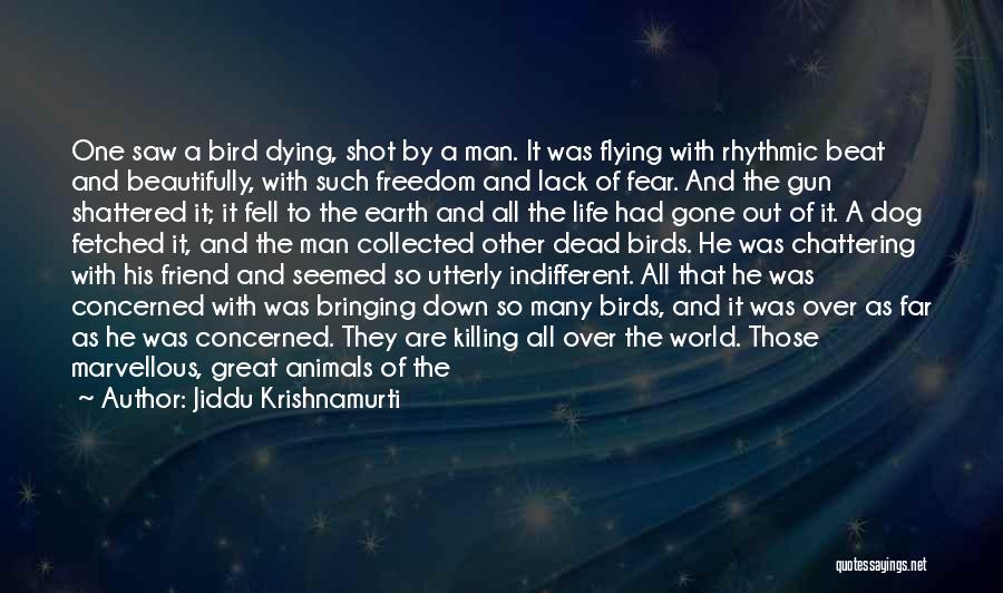 Bird Hunting Quotes By Jiddu Krishnamurti