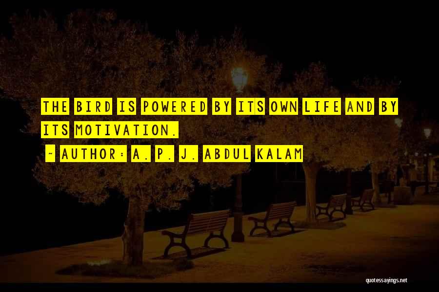 Bird Life Quotes By A. P. J. Abdul Kalam