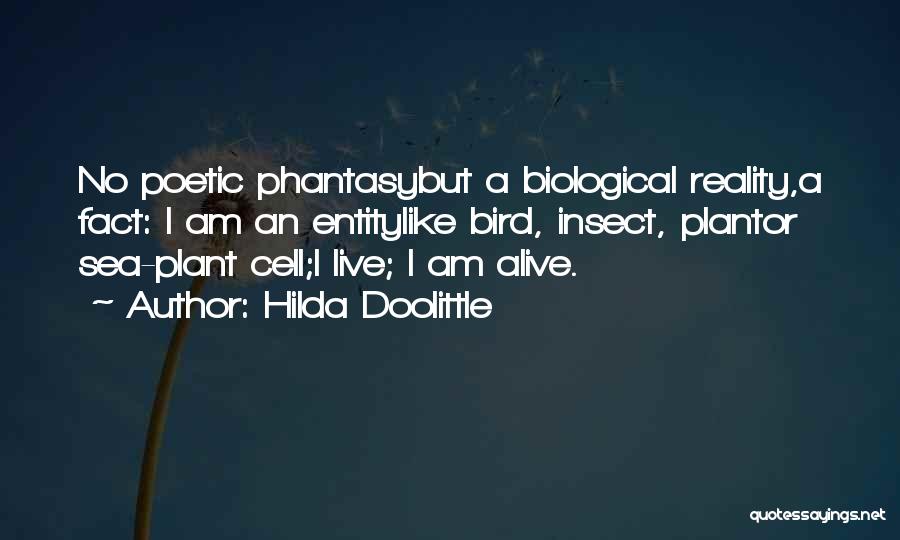 Bird Life Quotes By Hilda Doolittle