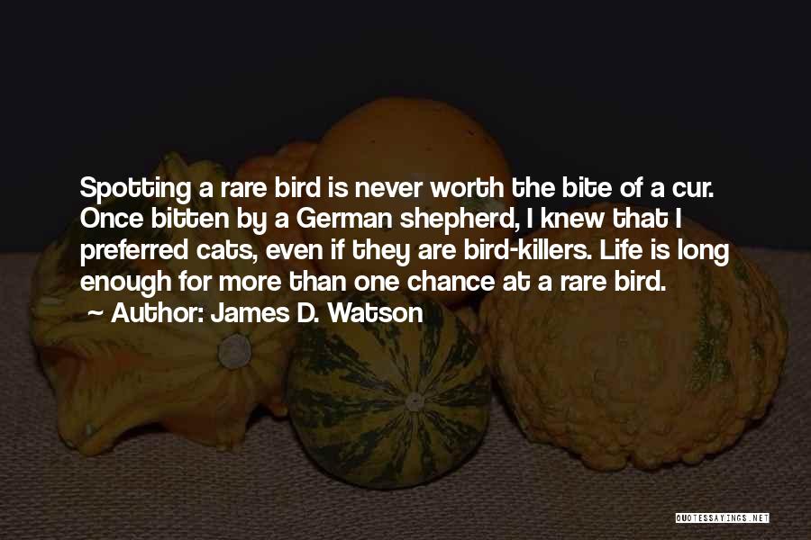 Bird Life Quotes By James D. Watson