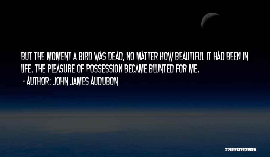 Bird Life Quotes By John James Audubon