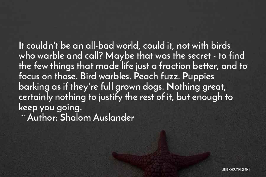 Bird Life Quotes By Shalom Auslander