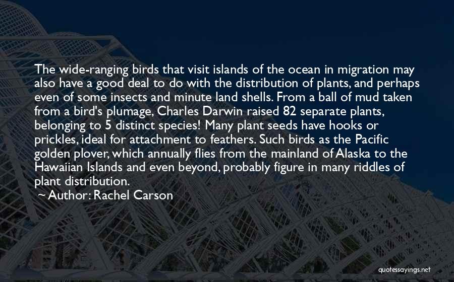 Bird Migration Quotes By Rachel Carson