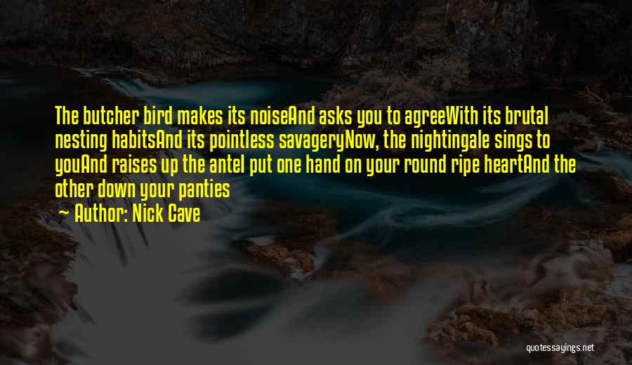 Bird Nesting Quotes By Nick Cave