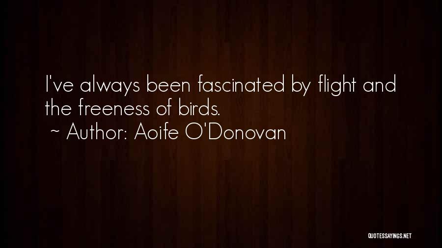 Bird O'donnell Quotes By Aoife O'Donovan