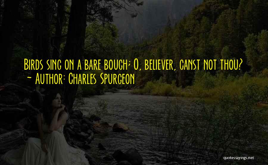 Bird O'donnell Quotes By Charles Spurgeon
