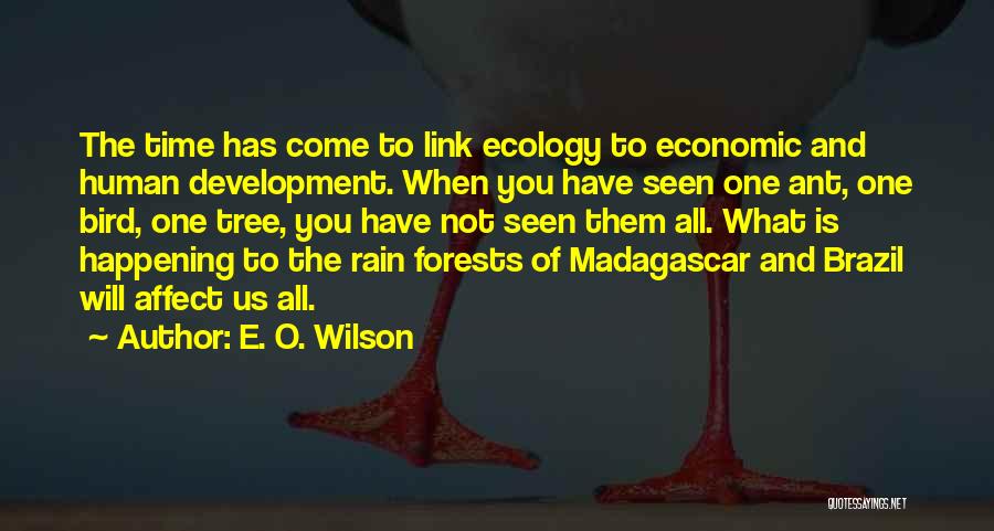 Bird O'donnell Quotes By E. O. Wilson