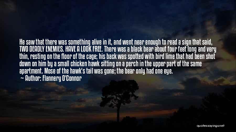 Bird O'donnell Quotes By Flannery O'Connor