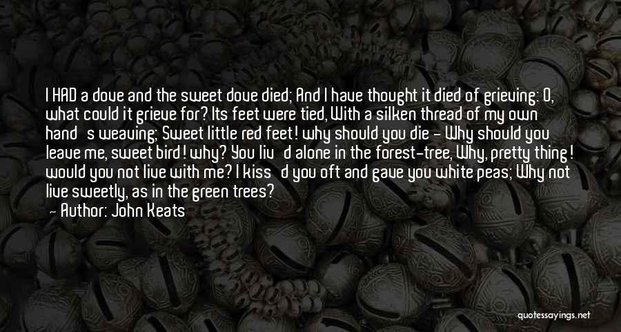 Bird O'donnell Quotes By John Keats