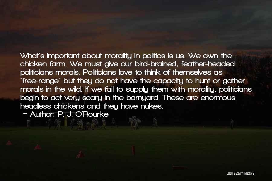 Bird O'donnell Quotes By P. J. O'Rourke