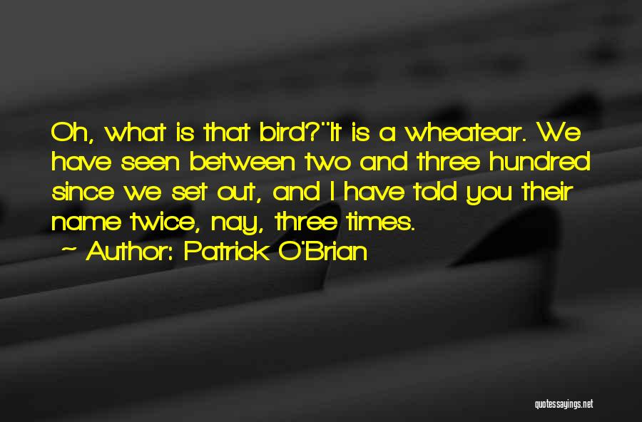 Bird O'donnell Quotes By Patrick O'Brian