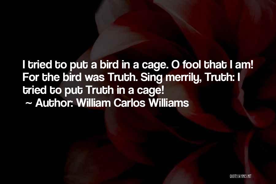 Bird O'donnell Quotes By William Carlos Williams