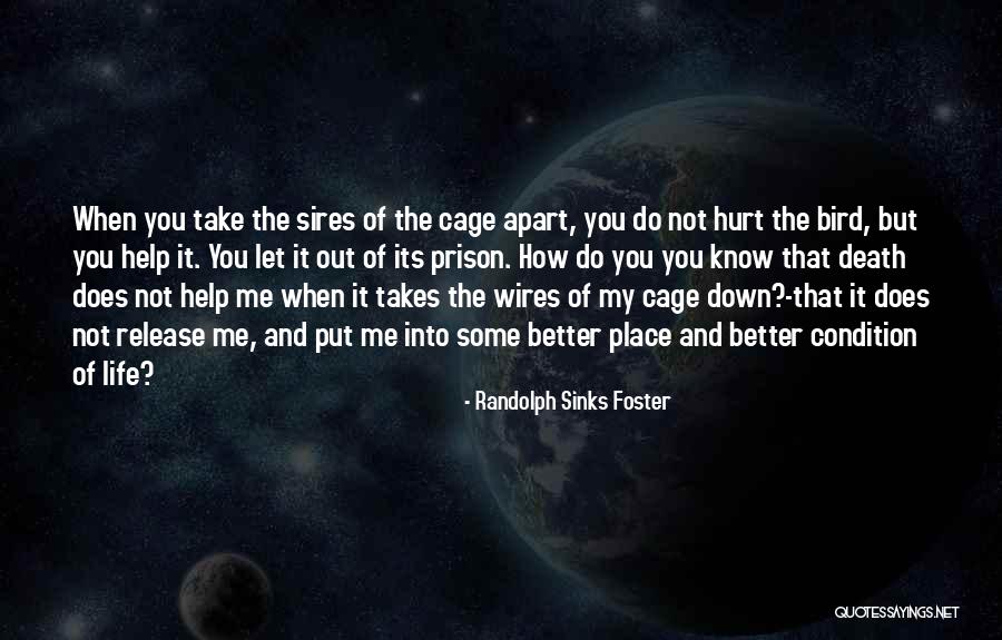 Bird On A Wire Quotes By Randolph Sinks Foster Bird On A Wire Quotes By Randolph Sinks Foster