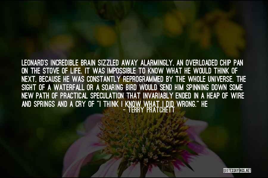 Bird On A Wire Quotes By Terry Pratchett Bird On A Wire Quotes By Terry Pratchett